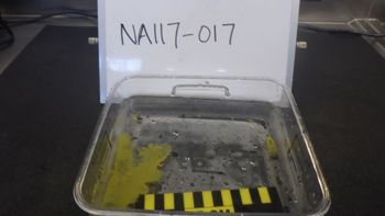 Media type: image;   Invertebrate Zoology 153113 Description: live specimen;